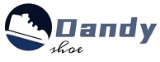 dandyshoeru.com